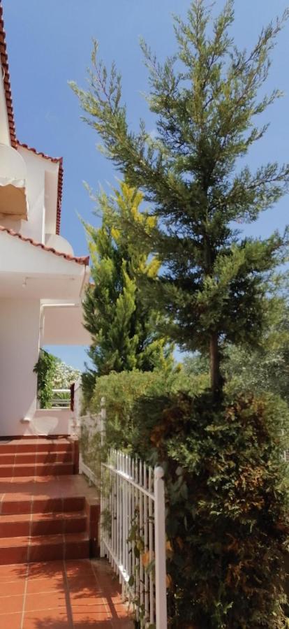 Ευχάριστη Βίλα Στη Χαλκίδα Στην Περιοχή "Αλυκές" Exterior foto